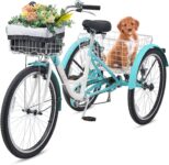 Top 10 Best Tricycles 2026